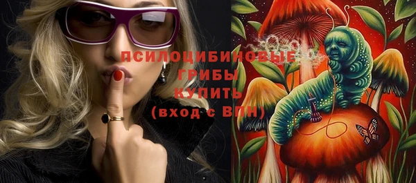 шишки Вязники