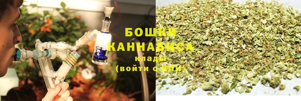дживик Нягань