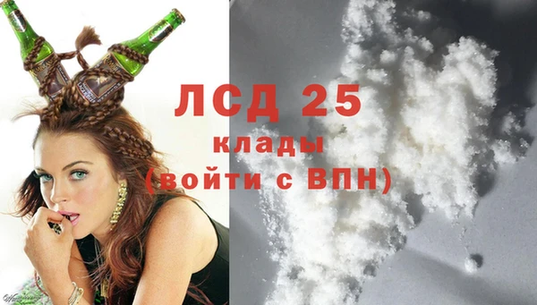 spice Новозыбков