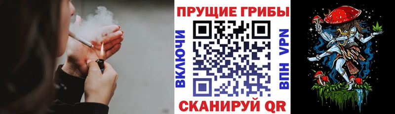 как найти наркотики  Ряжск  Псилоцибиновые грибы Cubensis 